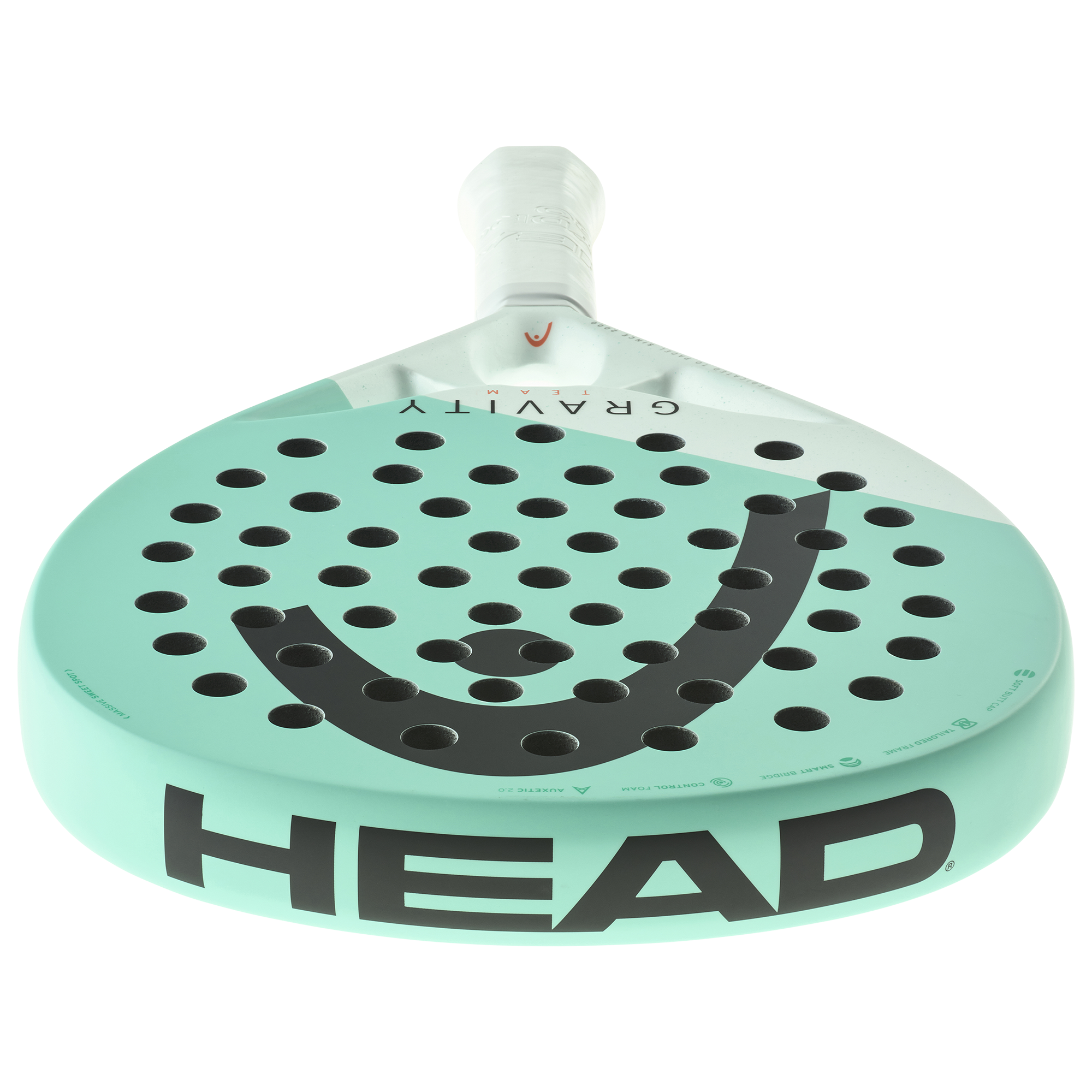 HEAD Gravity Team 2024