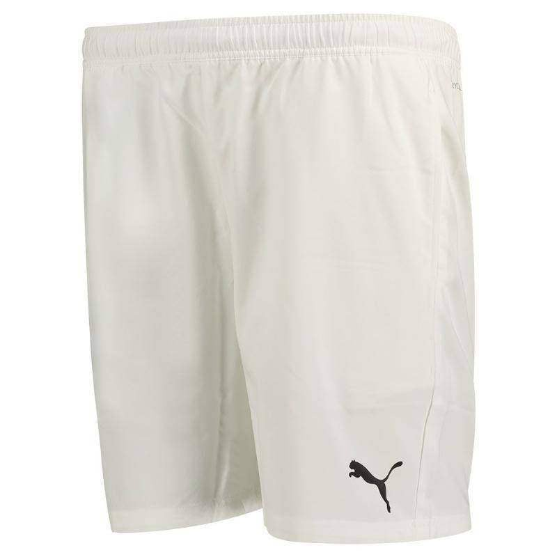 Puma TeamLiga Shorts Weiß